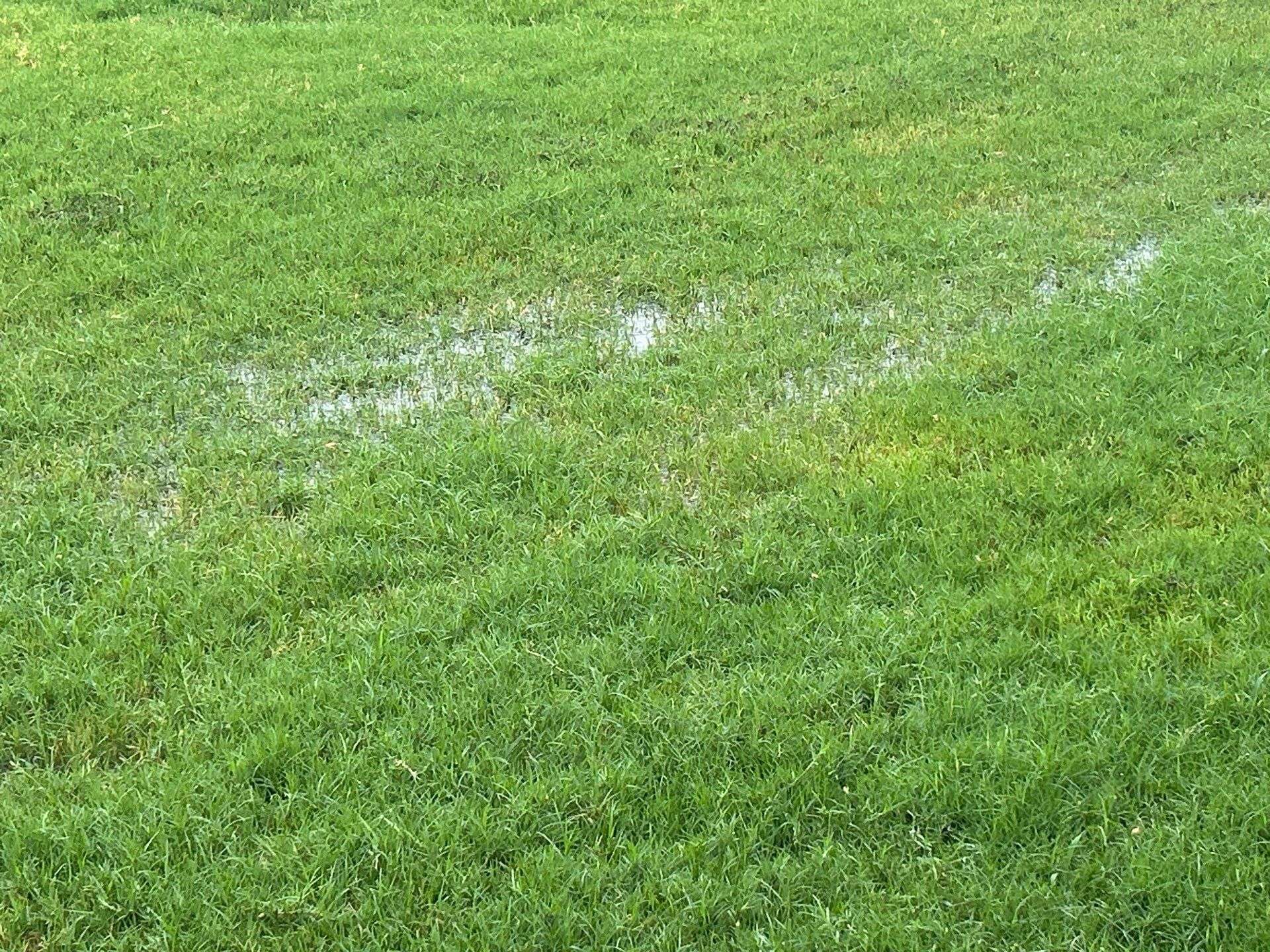 How Much Should I Water My Lawn in Central Texas?